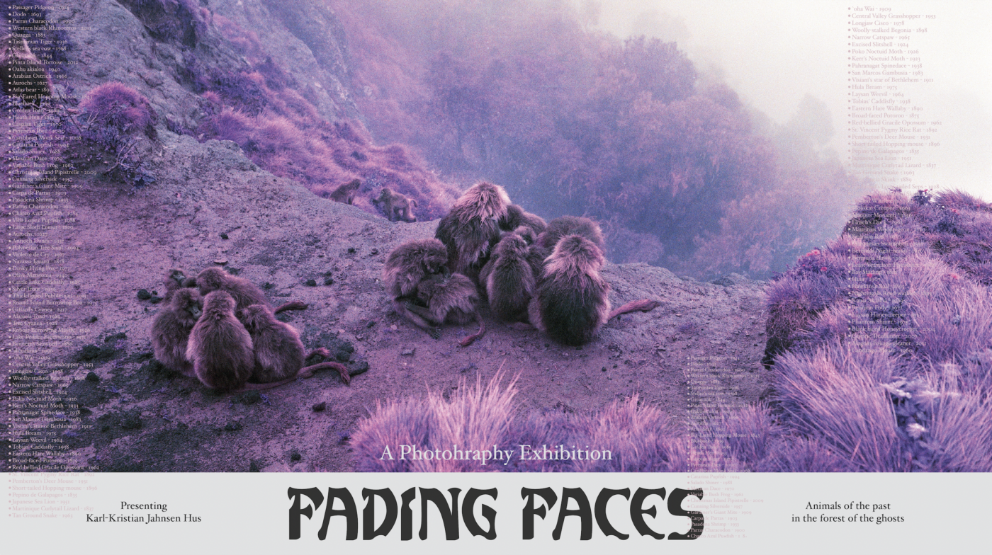 Fading Faces