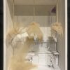 domestic environment 3
