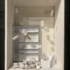 domestic environment 7
