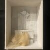 domestic environment 2