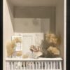 domestic environment 8