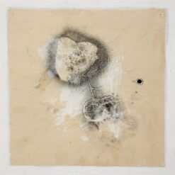 Sergio Angeli Postnature Resti n.1