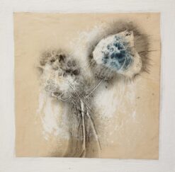 Sergio Angeli Postnature Resti n.0