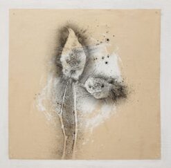 Sergio Angeli Postnature Resti n.4