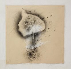 Sergio Angeli Postnature Resti n.5