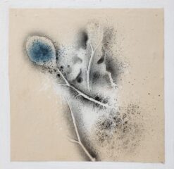 Sergio Angeli Postnature Resti n.9